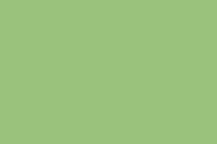 E-IMAGE SBP10 Background paper (2.72*10M) 63 Apple Фон бумажный, зеленый