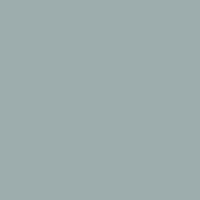 E-IMAGE SBP10 Background paper (2.72*10M) 21 Pursuit grey Фон бумажный, серый