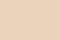 E-IMAGE SBP10 Background paper (2.72*10M) 33 Ivorine Фон бумажный, бежевый