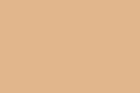 E-IMAGE SBP10 Background paper (2.72*10M) 26 Pongee Фон бумажный, бежевый