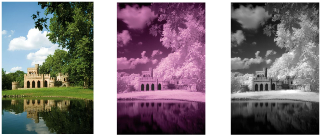 bw_7.png