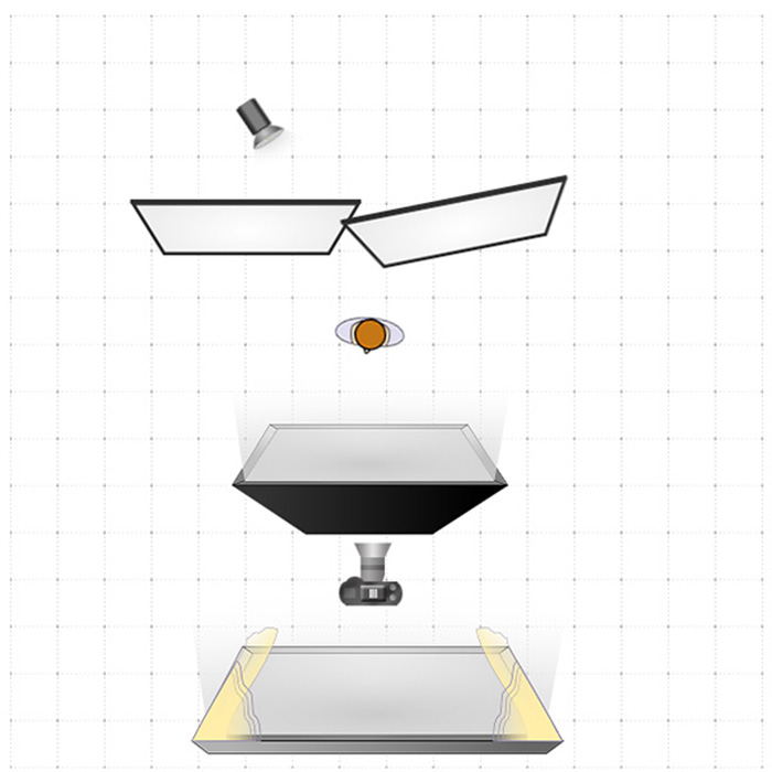 Profoto-B1-Viktorija-Grigorjevaite-Jenny-diagram.jpg