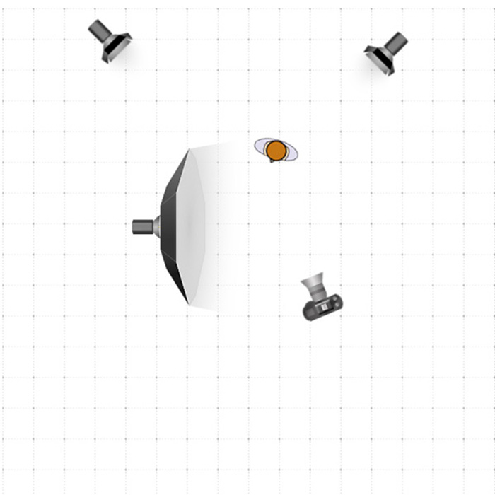 Profoto-B1-Viktorija-Grigorjevaite-Ian-diagram.jpg